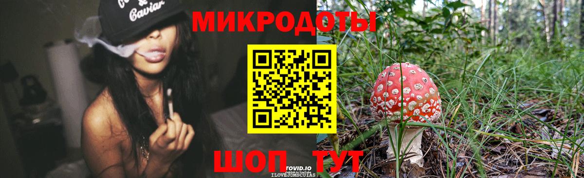 Псилоцибиновые грибы Magic Shrooms Сланцы