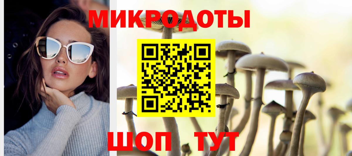 Сланцы  Псилоцибиновые грибы GOLDEN TEACHER  Вход с VPN 